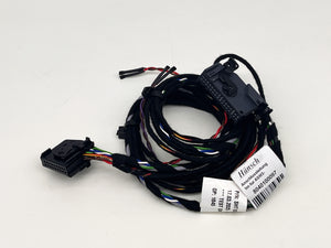 Hänsch Ersatzteil Anschlussleitung für Audio-Schaltmodul ASM3